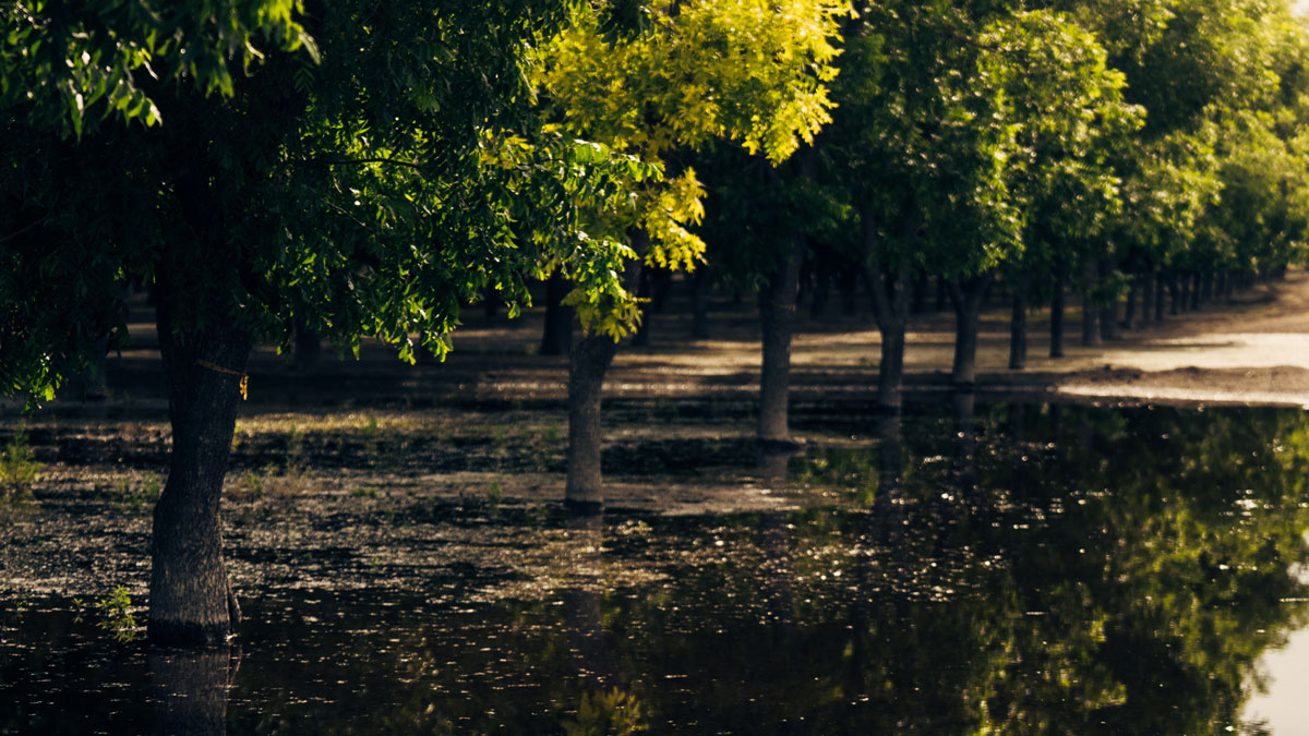 Featured image for “How Data Can Inspire Action: A Closer Look at the Water Use by Categories Report”